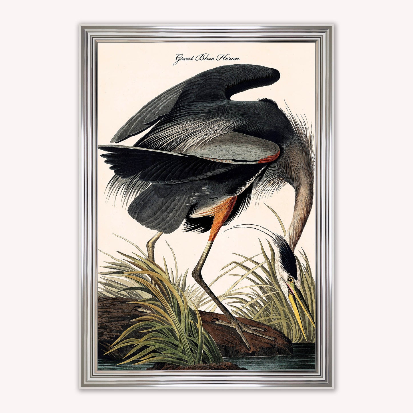Luxury Velvet Art Print - Vintage Birds -Blue Heron Framed Wall Art