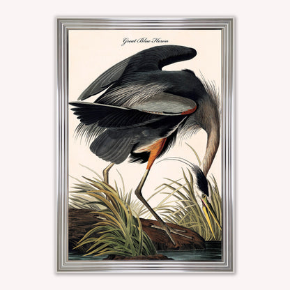 Luxury Velvet Art Print - Vintage Birds -Blue Heron Framed Wall Art