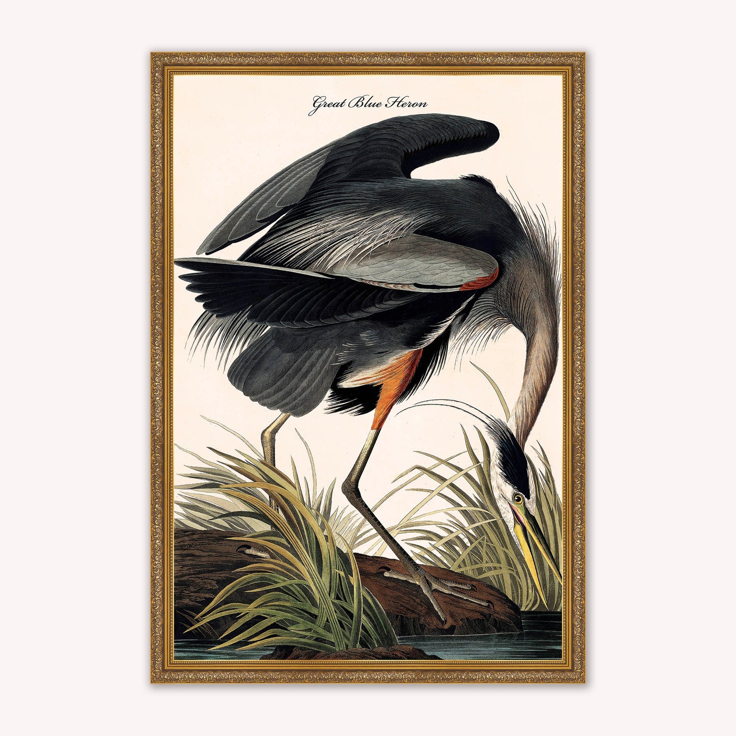 Luxury Velvet Art Print - Vintage Birds -Blue Heron Framed Wall Art