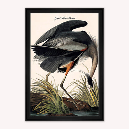 Luxury Velvet Art Print - Vintage Birds -Blue Heron Framed Wall Art