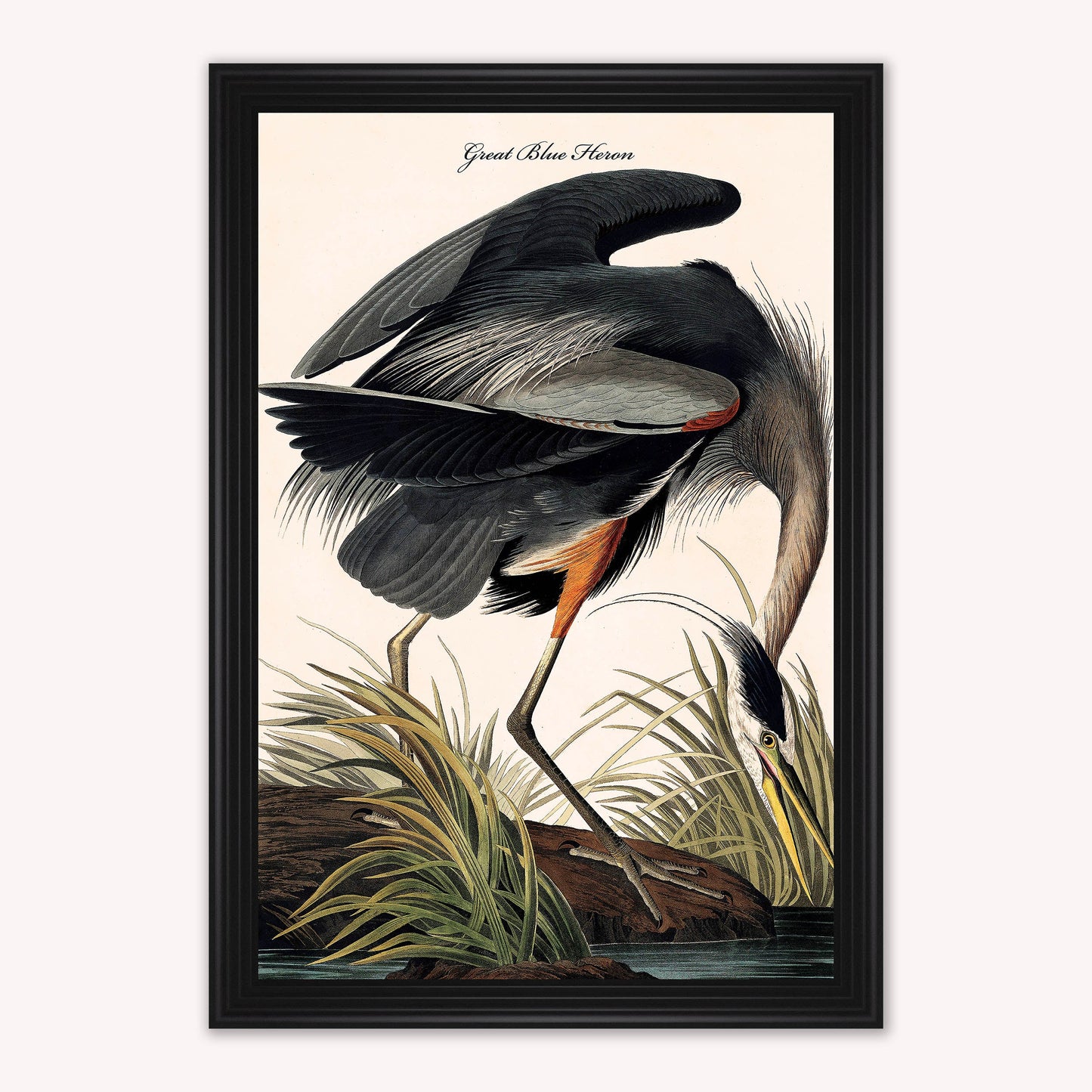 Luxury Velvet Art Print - Vintage Birds -Blue Heron Framed Wall Art