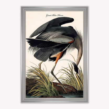 Luxury Velvet Art Print - Vintage Birds -Blue Heron Framed Wall Art