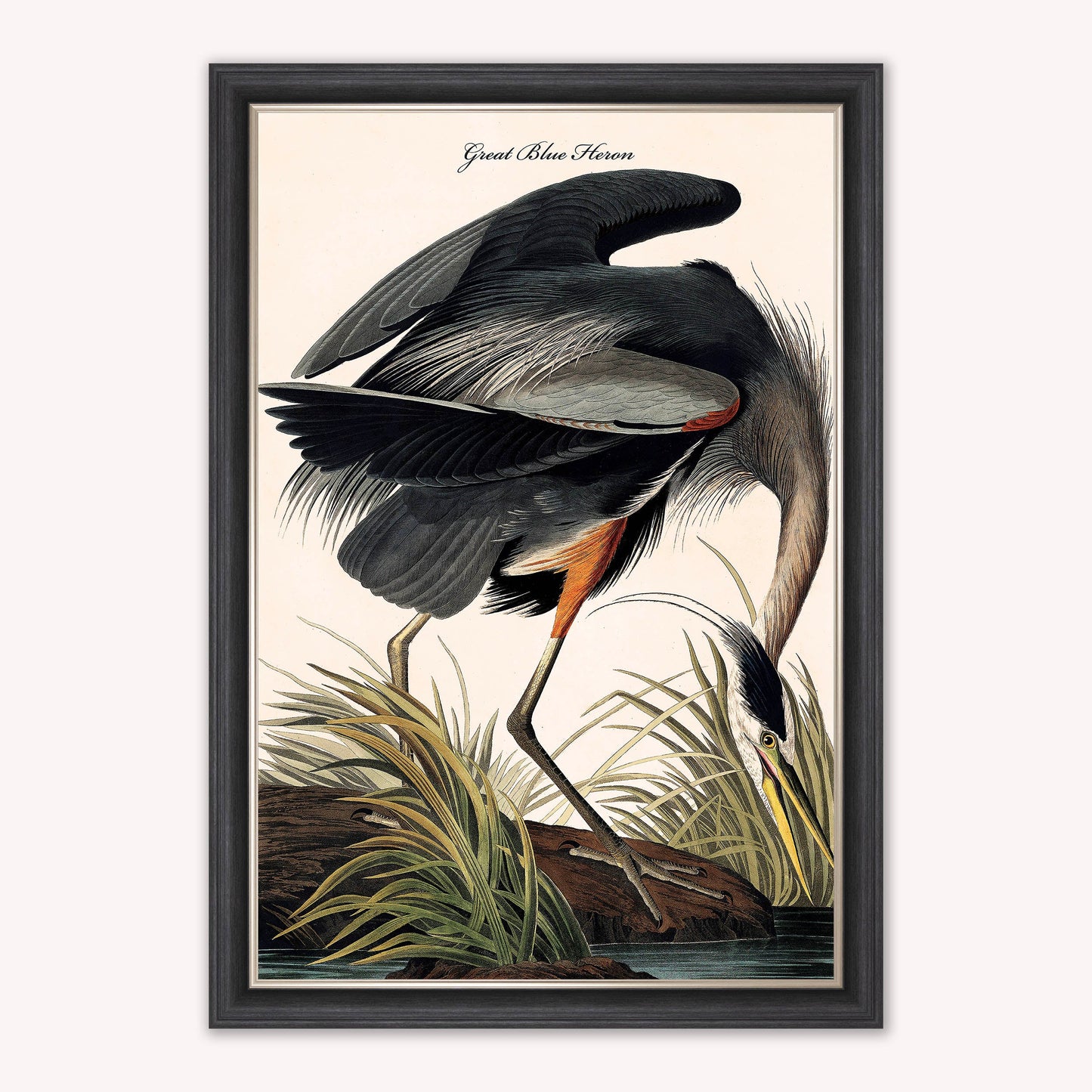 Luxury Velvet Art Print - Vintage Birds -Blue Heron Framed Wall Art