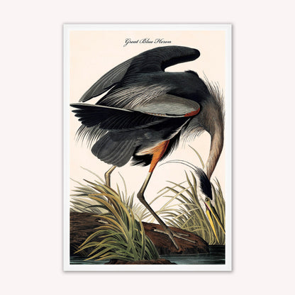 Luxury Velvet Art Print - Vintage Birds -Blue Heron Framed Wall Art