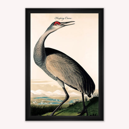 Luxury Velvet Art Print - Vintage Birds - Hooping Crane Framed Wall Art