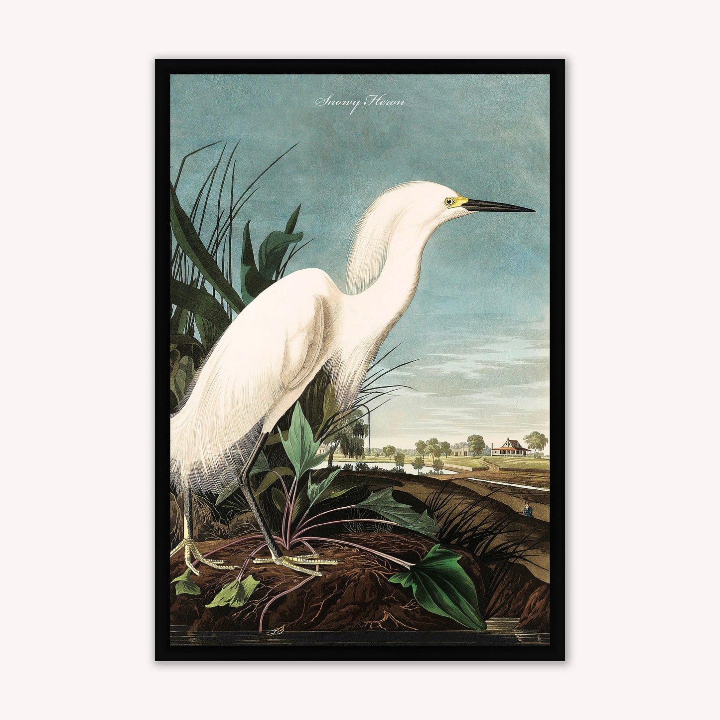 Luxury Velvet Art Print - Vintage Birds - Snowy Heron Framed Wall Art