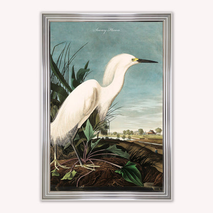Luxury Velvet Art Print - Vintage Birds - Snowy Heron Framed Wall Art