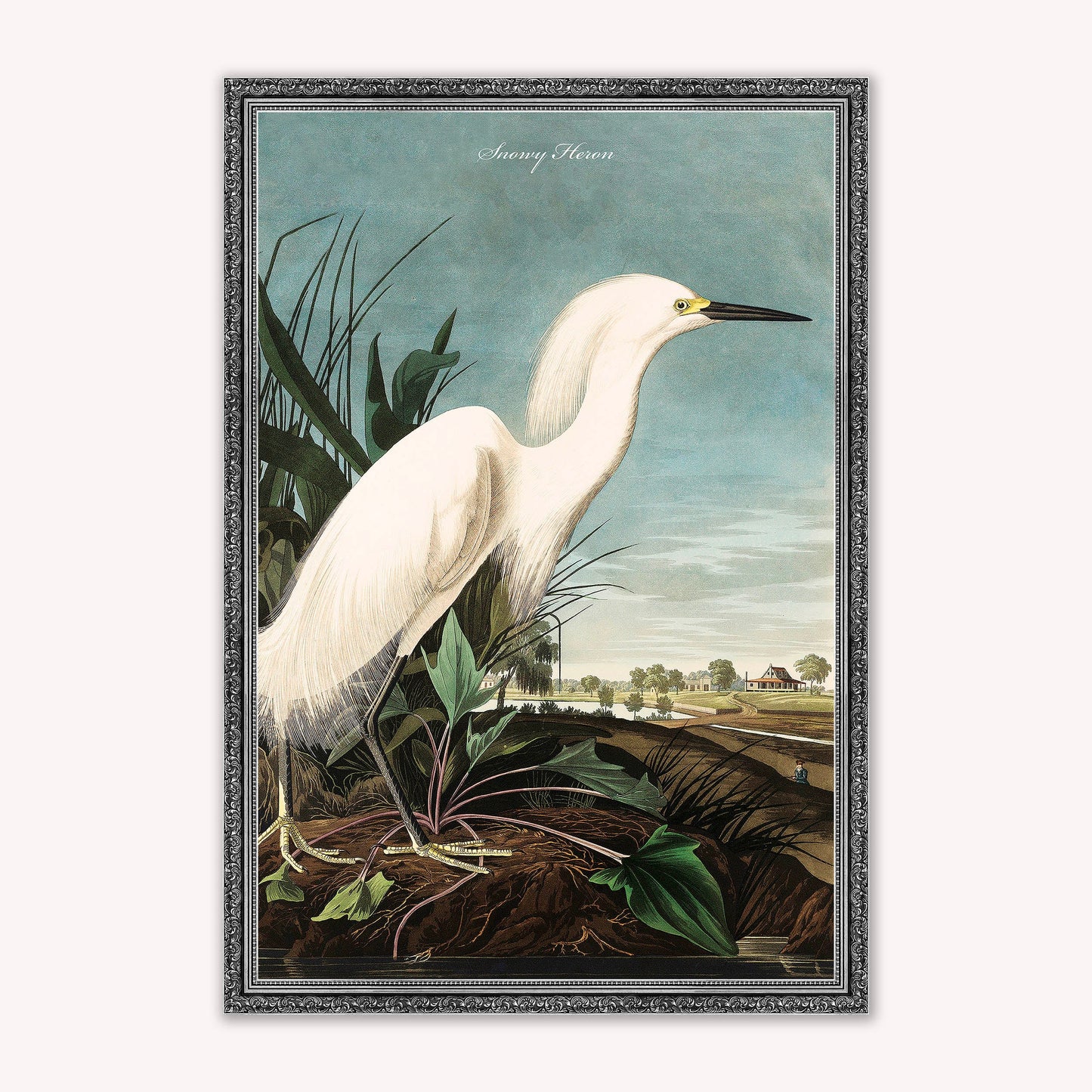 Luxury Velvet Art Print - Vintage Birds - Snowy Heron Framed Wall Art