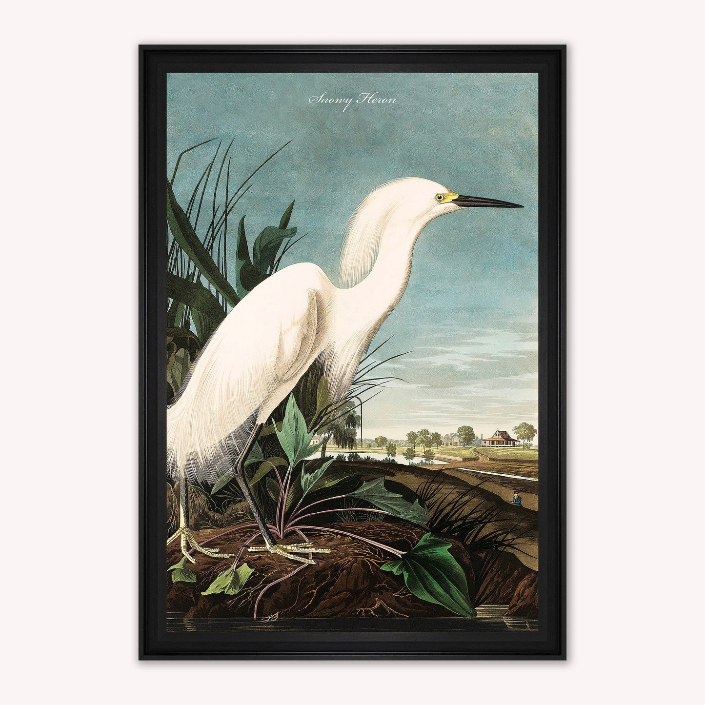 Luxury Velvet Art Print - Vintage Birds - Snowy Heron Framed Wall Art