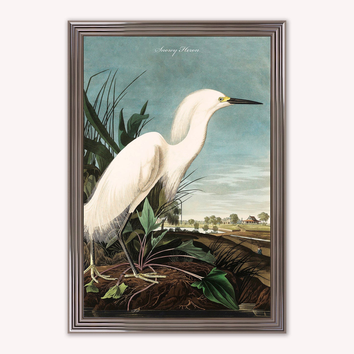 Luxury Velvet Art Print - Vintage Birds - Snowy Heron Framed Wall Art