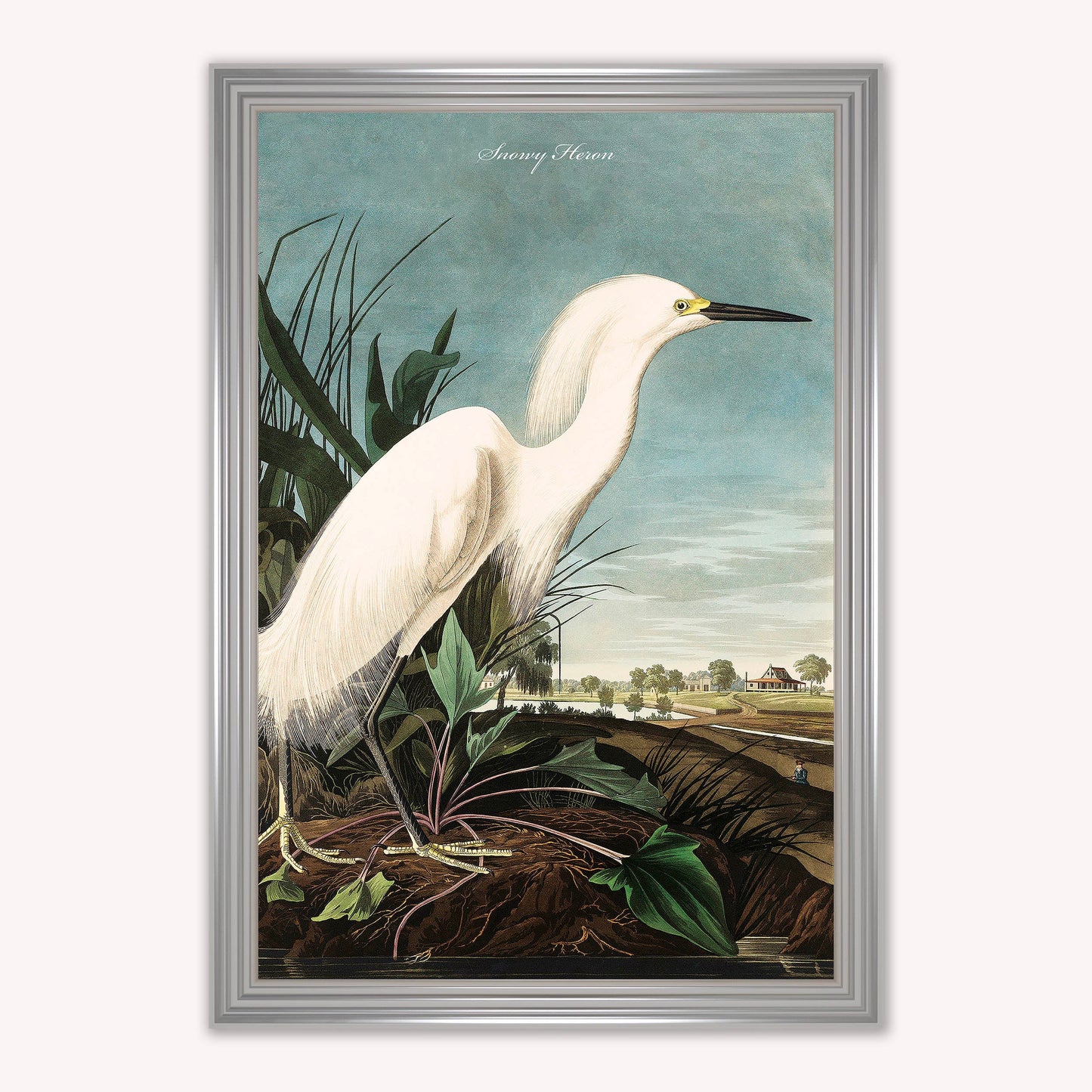 Luxury Velvet Art Print - Vintage Birds - Snowy Heron Framed Wall Art