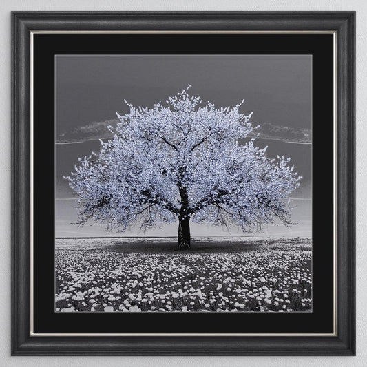 Light Blue Cherry Tree with Black Mount Framed Wall Art