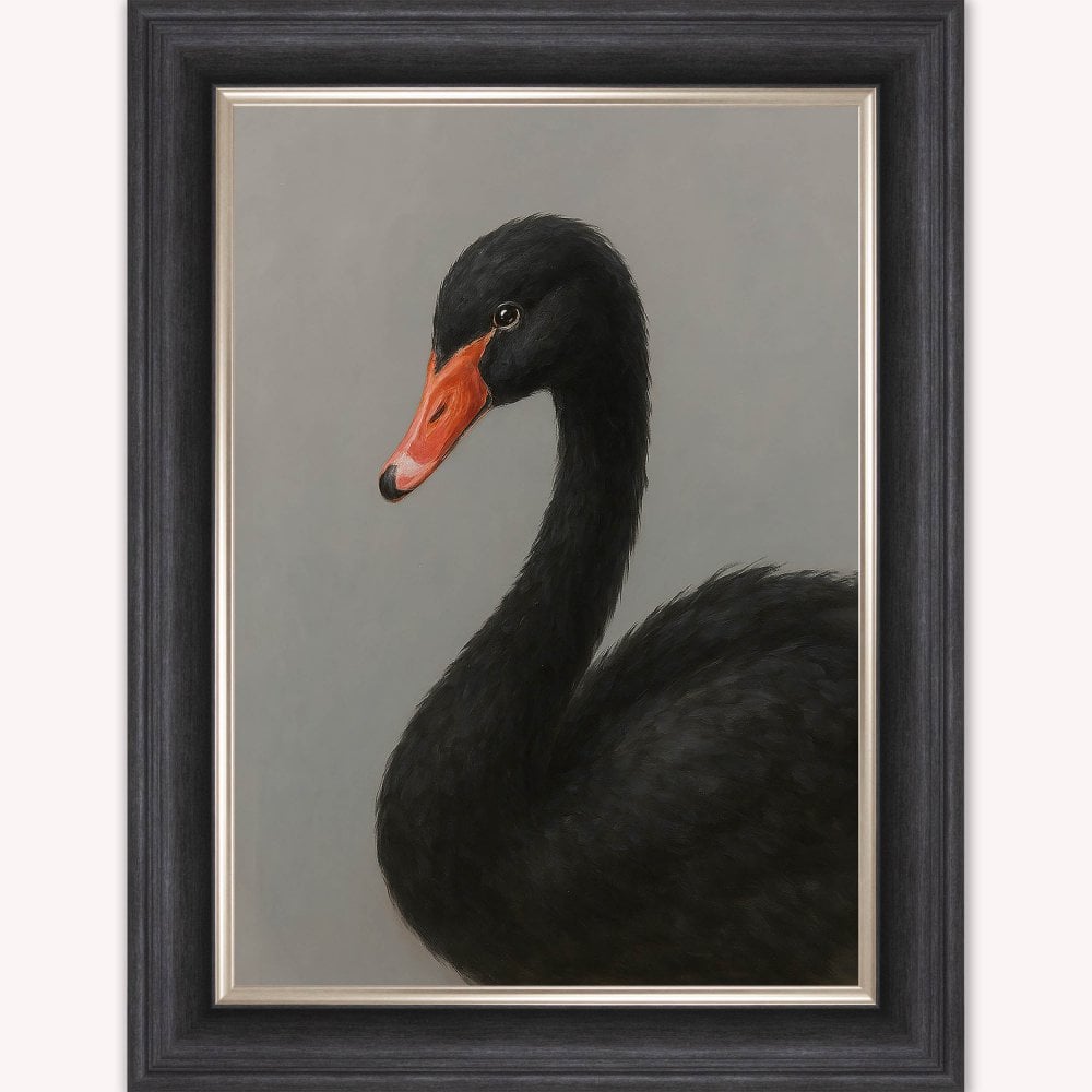Curious Black Swan Framed Wall Art