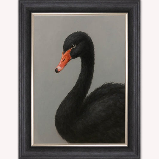 Curious Black Swan Framed Wall Art