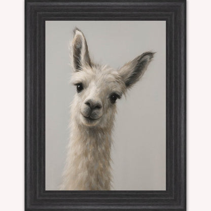 Curious Llama Framed Wall Art