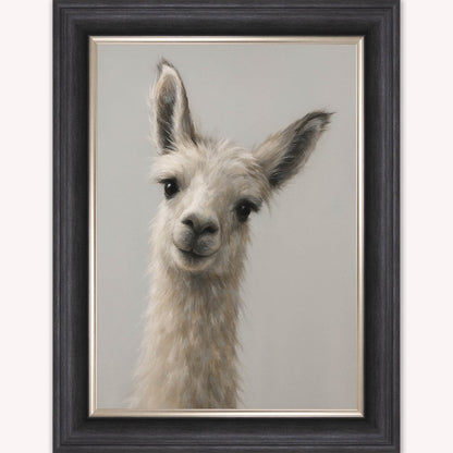 Curious Llama Framed Wall Art