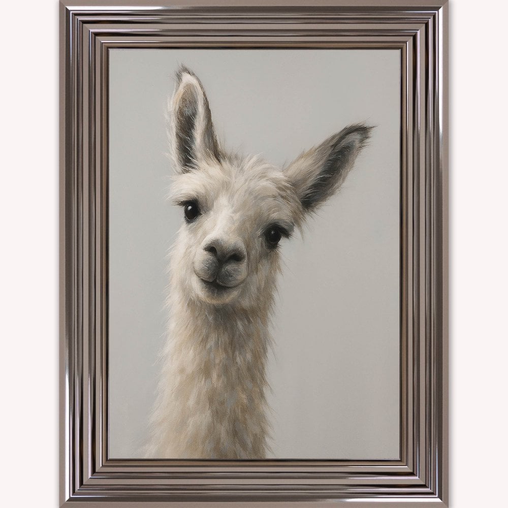 Curious Llama Framed Wall Art