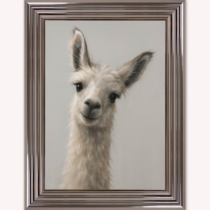 Curious Llama Framed Wall Art