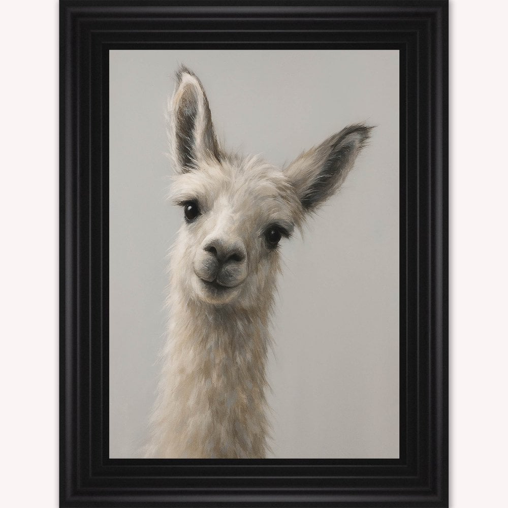 Curious Llama Framed Wall Art