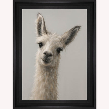 Curious Llama Framed Wall Art