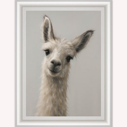 Curious Llama Framed Wall Art