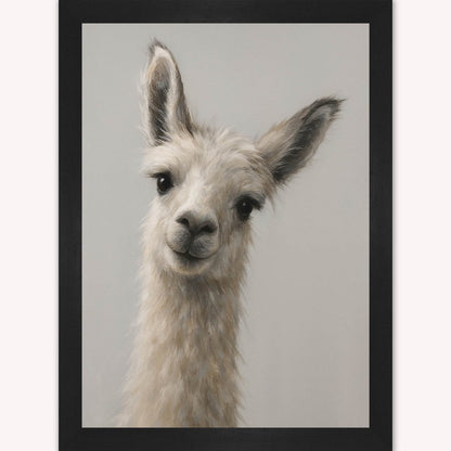 Curious Llama Framed Wall Art