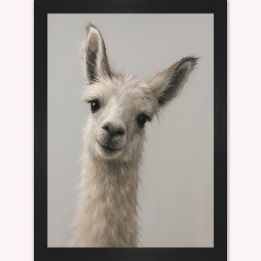Curious Llama Framed Wall Art