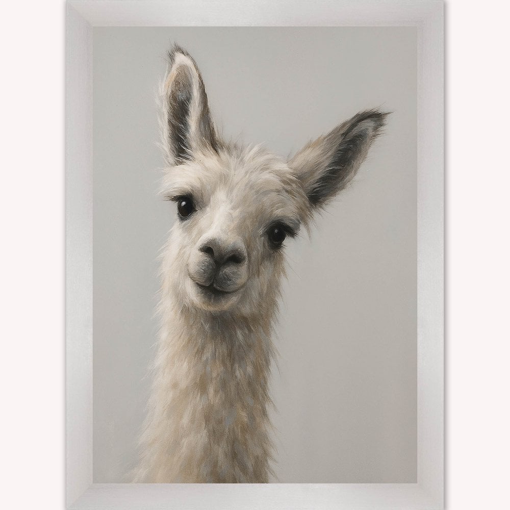 Curious Llama Framed Wall Art