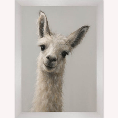 Curious Llama Framed Wall Art