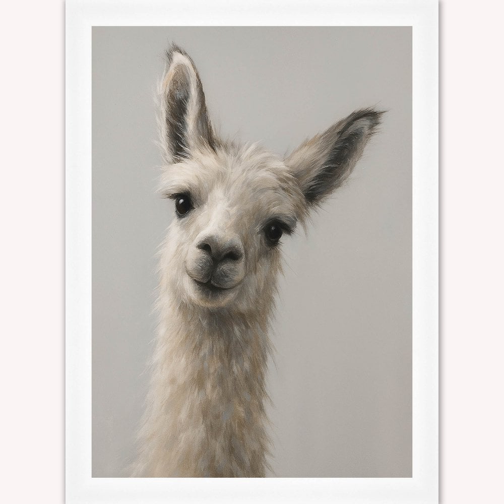 Curious Llama Framed Wall Art
