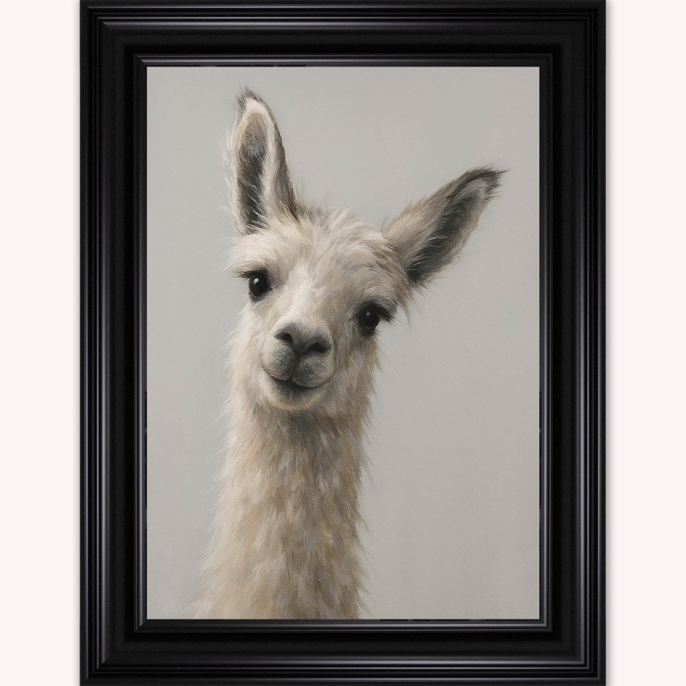 Curious Llama Framed Wall Art