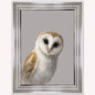 Curious Owl Framed Wall Art