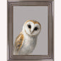 Curious Owl Framed Wall Art