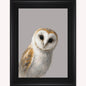 Curious Owl Framed Wall Art