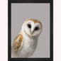 Curious Owl Framed Wall Art