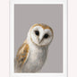 Curious Owl Framed Wall Art