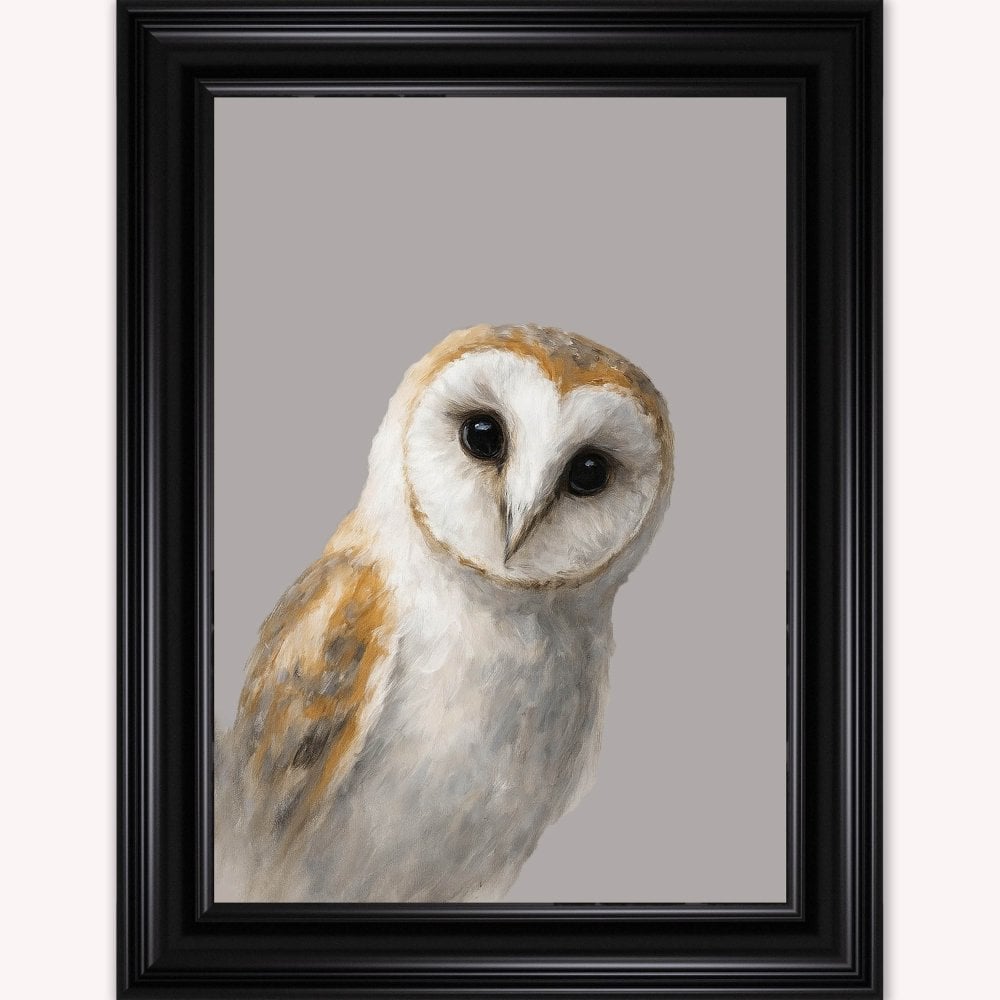 Curious Owl Framed Wall Art