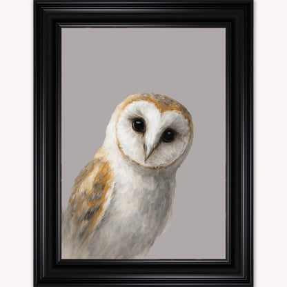 Curious Owl Framed Wall Art