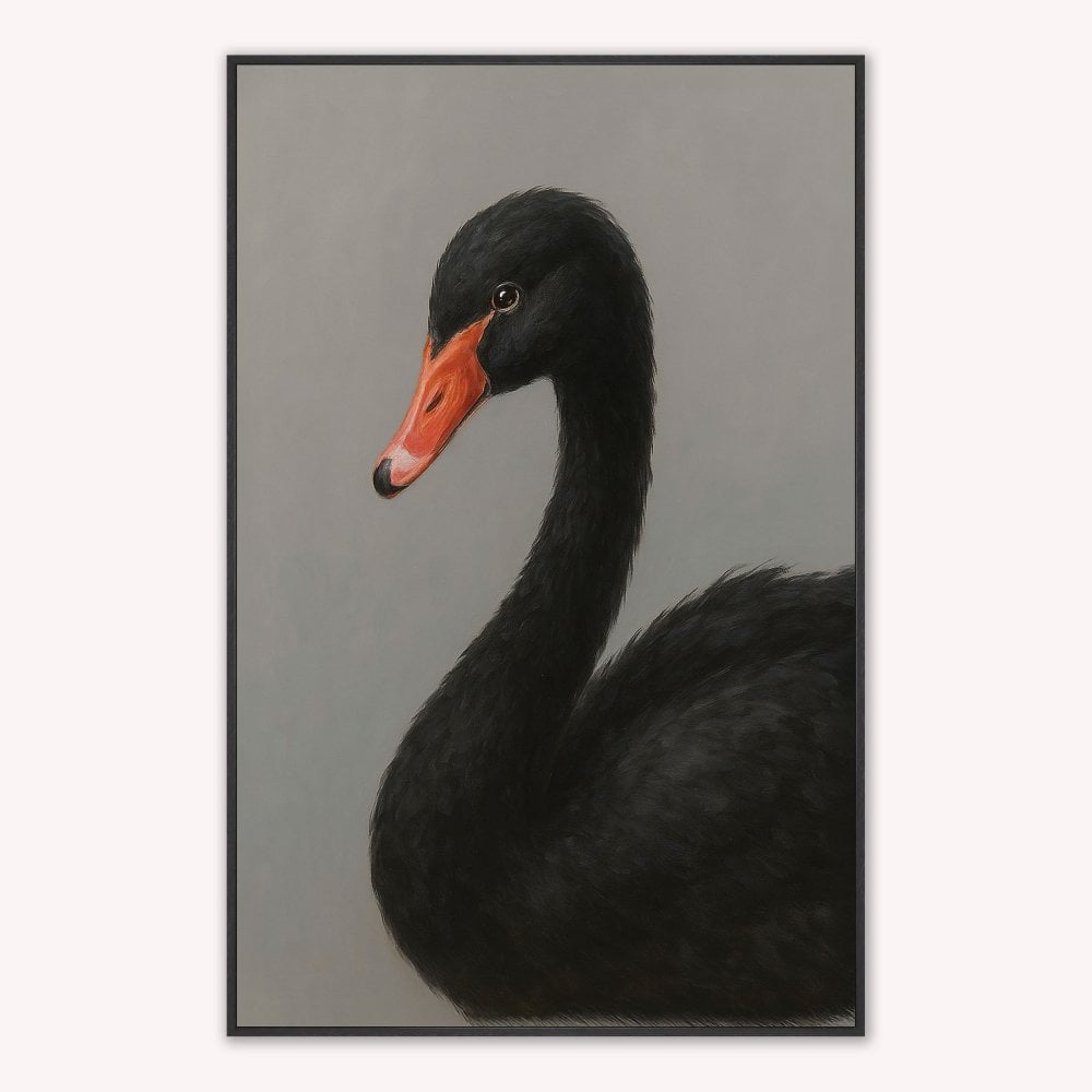 Curious Black Swan Velvet Canvas Art