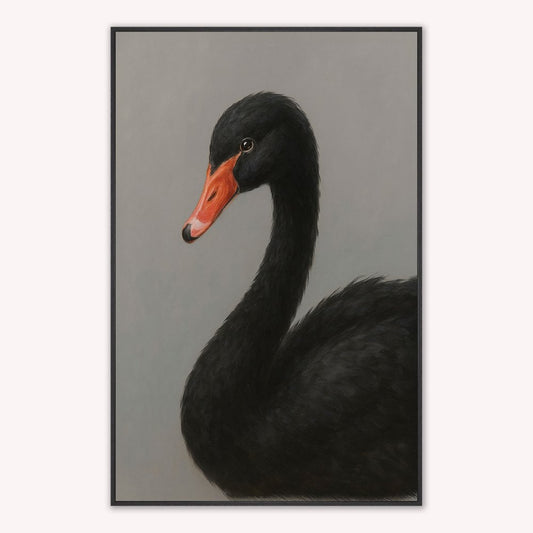 Curious Black Swan Velvet Canvas Art
