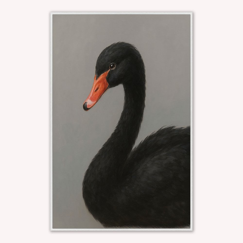 Curious Black Swan Velvet Canvas Art