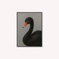 Curious Black Swan Velvet Canvas Art