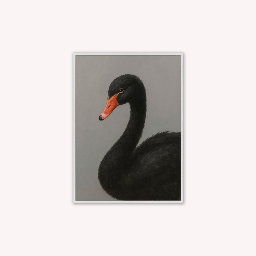 Curious Black Swan Velvet Canvas Art