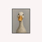 Curious Duck Colour Velvet Canvas Art