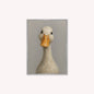 Curious Duck Colour Velvet Canvas Art