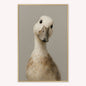 Curious Duck Grey Velvet Canvas Art