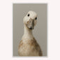 Curious Duck Grey Velvet Canvas Art
