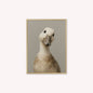 Curious Duck Grey Velvet Canvas Art