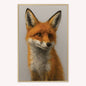 Curious Fox 2 Velvet Canvas Art