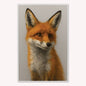 Curious Fox 2 Velvet Canvas Art